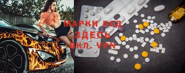 гидропоника Алзамай